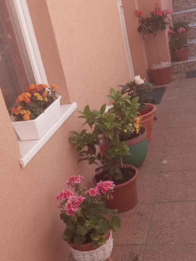 Erna Apartman Zalakaros Extérieur photo